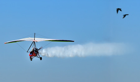 Motorized Glider with birds escort.
