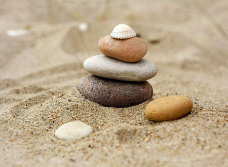 Stones and shell at the sea sideの写真素材