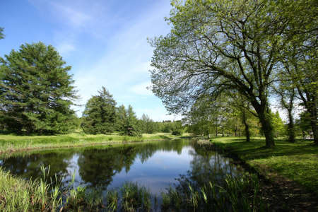 Spring park reflect in pondの写真素材