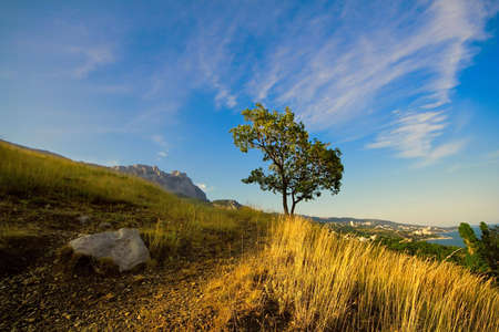 Neighborhood Alupka. View of downtown and Mount Ai-Petriの写真素材