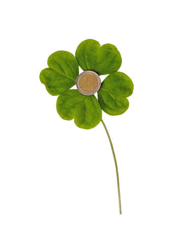 a four-leaf clover and his heart represented in euro