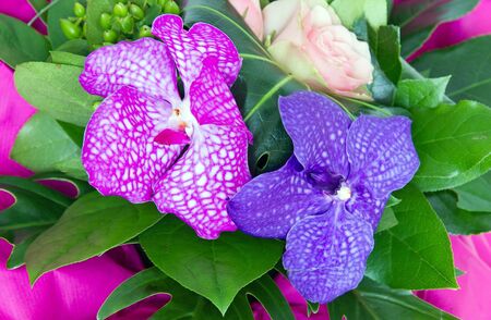 bouquet of orchids, a present for a special occasionの写真素材