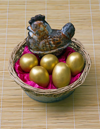 golden goose watching over his propertyの写真素材