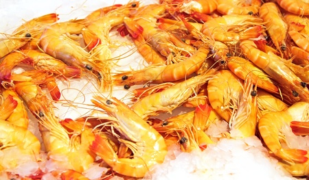 Shrimps, shellfish, at the fishmongerの写真素材