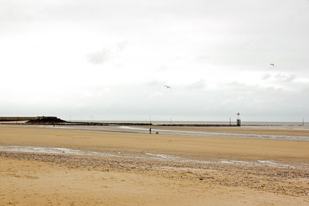The Beach of Trouville in winter Normandy France. The walk of the dog