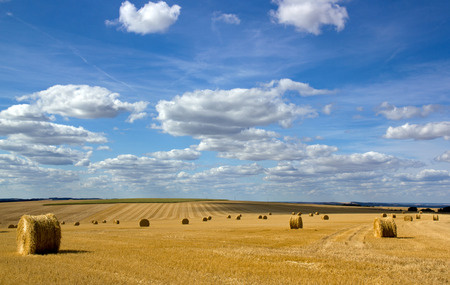 Straw bundles in the plains of the Yonne (Burgundy, France)の写真素材