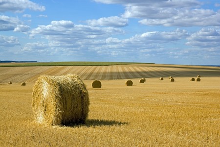 Straw bundles in the plains of the Yonne (Burgundy, France)の写真素材