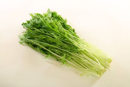 Mizunaの写真素材