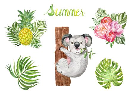 Watercolor summer tropical set with cute hand painted koala bear on a tree isolated, exotic green leaves, plants and flowers. Floral bouquets with pineapple, palm leaf, monstera on white background.の写真素材