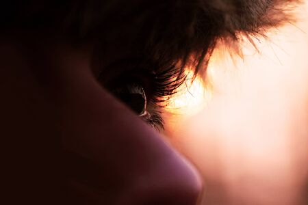 The sky of a winter scenery reflected in the eye の写真素材
