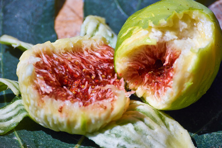 figs with sunshine の写真素材