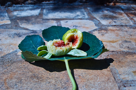 figs with sunshine の写真素材