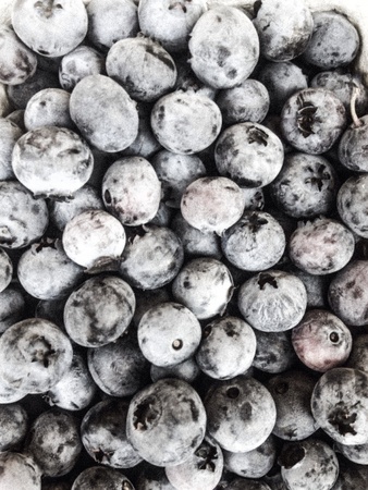 a pot of blueberry fruits at the market. saturated pictureの素材