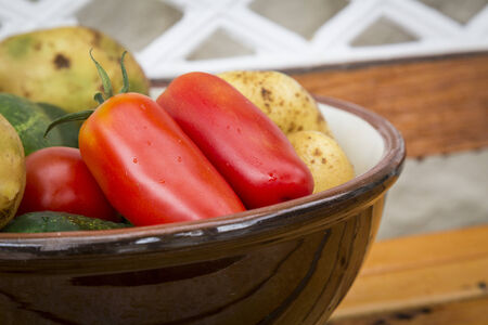 fresh organic vegetables from garden presented in ceramic bowlの写真素材