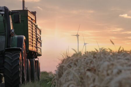 A Tractor with a trailer passing by a field of wheat with some wind tubines in the background while the sun setsの写真素材