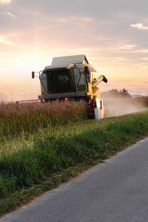 A harvester paves its way through a field of wheat under a bright blue skyの写真素材