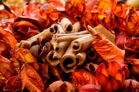 Autumn composition with dried flowers and aromatic orange barkの写真素材