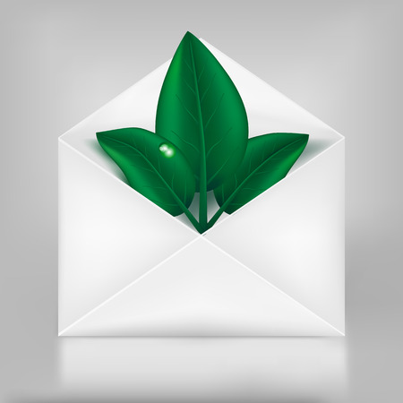 Eco concept. Green leafs in paper envelope.のイラスト素材