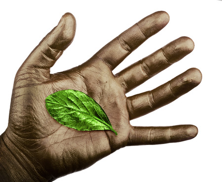 Human hand with green leaf isolated on white backgroundの写真素材