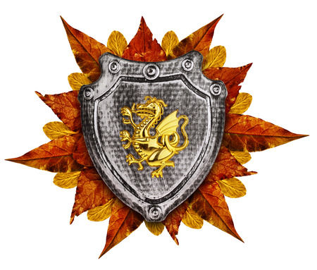 Family coat, shield emblem isolated on whiteの写真素材