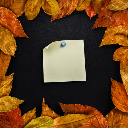 autumn leaves framed black board with sticker. Design elementの写真素材