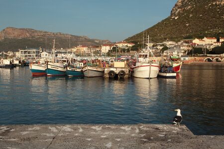 FISHING BOATS IN HARBORのeditorial素材
