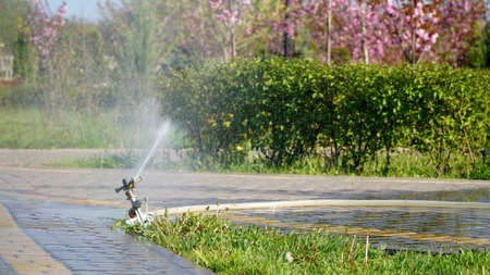 Automatic lawn irrigation system for green grass lawn. Close-up. Watering the lawn. Gardening and legal care.の写真素材