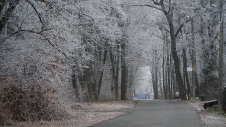 Beautiful autumn foggy landscape with country road. Autumn foggy morning and hoarfrost on the grass in a picturesque forest. nの写真素材