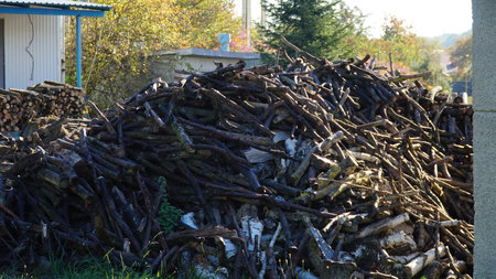 Stock of firewood for heating the house. Global crisis and price rise. Heating home with firewood.