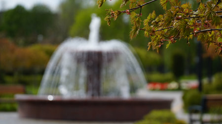 A small fountain in the garden with a blurry tree and foliage in the foreground. Quiet spring...