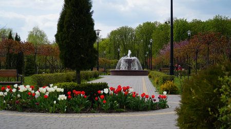 A small fountain in the garden with a blurry tree and foliage in the foreground. Quiet spring landscape with a fountain in the park.の写真素材
