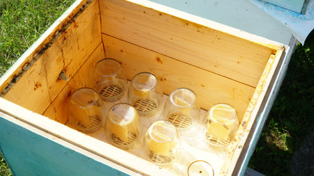 Jar with honeycombs. Bees carry honey in a jar. A swarm of bees around a jar, in an apiary. nの写真素材