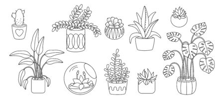 Plant and succulents, potted ceramic cartoon doodle line set. Black linear flat house indoor flower. House plants, cactus, monstera, aloe flowerpot. Interior decor collection. Vector illustrationのイラスト素材