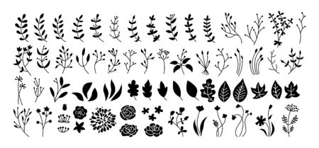 Flower, branch and leaf set, botanical black glyph. Abstract silhouette different beautiful floral design elements. Flat floral cartoon eco collection. Engravings isolated flowers. Vector illustrationのイラスト素材