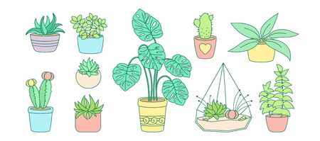 Plant and succulents, potted ceramic flat line set. Color linear cartoon house flower. House plants, cactus, monstera flowerpot. Stylish interior decor collection. Isolated vector illustrationのイラスト素材