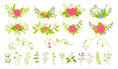 Flower branch and leaf, floral composition set. Botany abstract romantic beautiful design elements. Colorful flat floral cartoon eco collection. Isolated flowers, branches leaves. Vector illustrationのイラスト素材