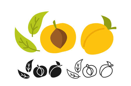 Apricot cartoon set line icon, black glyph style. Summer apricots icon collection flat food. Comic hand drawn design for packaging card poster label. Organic healthy peach Isolated vector illustrationのイラスト素材