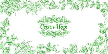 Hop plant branch sketch frame. Sketches for beer packing design, label. Exotic botanical decoration hand drawn. Hops with leaves and cones angular herb event invitation card template, editable vectorのイラスト素材