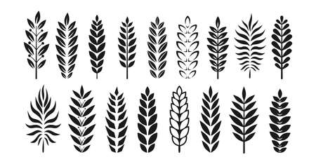 Branch graphic award or heraldry silhouette set. Olive branches, laurel foliate award, achievement. Decorative vintage elements for design. different heraldry emblem, nobility emblem vectorのイラスト素材