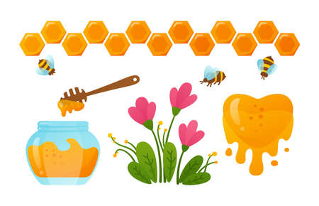 Honey in glass jar and bee fly, honeycomb set. Wooden honey dipper, drop flowing, liquid and flowers, heart. Healthy natural organic product. Package food design concept cartoon vector illustrationのイラスト素材