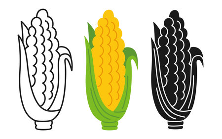 Corn Cob cartoon linear icon set, doodle style, engraving silhouette. Symbol fresh maize vegetable, organic healthy food design. Harvest agricultural vegetarian kitchen, farm market menu vectorのイラスト素材