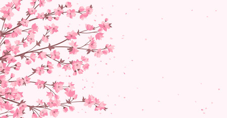 Cherry blossom branch with pink flower banner, template or card. Elegant Japanese blooming twig plant with flowers petals. Asian Chinese spring blossoming background. Vector oriental illustrationのイラスト素材