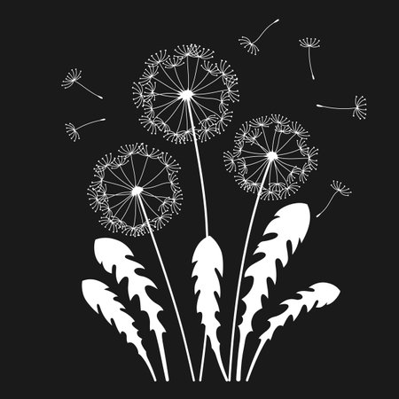 Dandelion with flying seeds engraved card. Abstract flowers dandelions stylized plants. Botany floral etching template design, advertising poster or banner background, cover invitation, stamp or printのイラスト素材