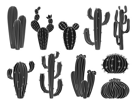 Cactus hand drawn exotic silhouette plants set. Trendy engraving succulent collection isolated. Scrapbook botanical contour desert cacti. Mexico western shape vector jungle etching illustrationのイラスト素材