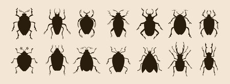Beetles set whimsical silhouette art insects. Different fantasy shape bugs. Stylized vintage figure bugs vector isolated illustrationsのイラスト素材