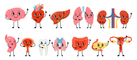 Human Organs with positive emotions set. Cartoon healthy body parts lung, brain, heart reproductive system female male, tooth, body childish collection. Vector flat illustration happy comic designのイラスト素材