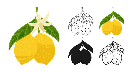 Lemon symbol cartoon set. Different lemon branch with leaves, flower linear doodle icon or silhouette collection. Juicy stylized citrus abstract lemons sign fruits hand drawn vector illustrationのイラスト素材