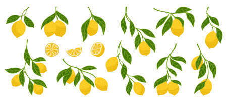 Lemons textured set. Different lemon branches with leaves bright botanical collection. Fresh juicy citrus abstract whole or cut lemons. Decorative fruits design elements hand drawn vector illustrationのイラスト素材