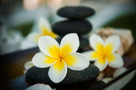 Spa stones and frangipani - Tropical Zen backgroundの写真素材
