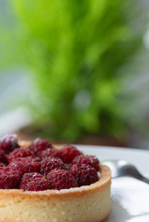 sweet food, cheesecake with raspberries